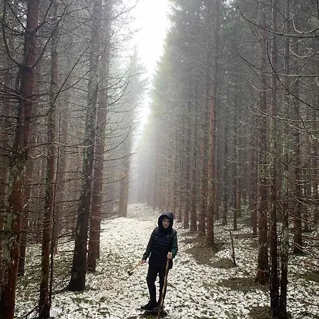 Affittacamere Golijski Dar Dajici