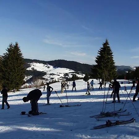 Affittacamere Golijski Dar Dajici