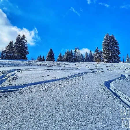 Golijski Dar Gasthuis 3*