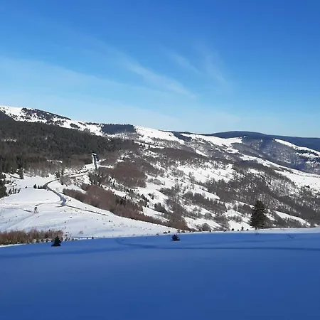 Golijski Dar Affittacamere 3*