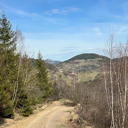 Golijski Dar Affittacamere