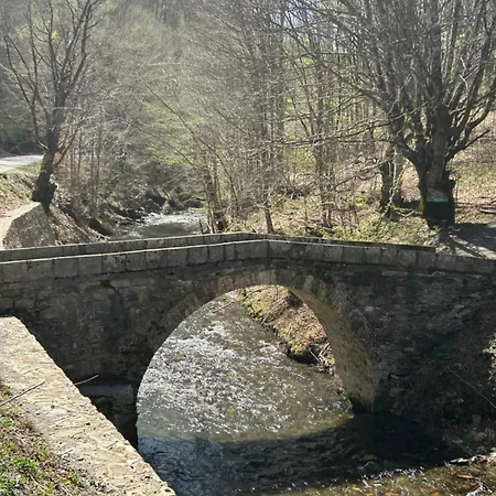 Golijski Dar Affittacamere 3*