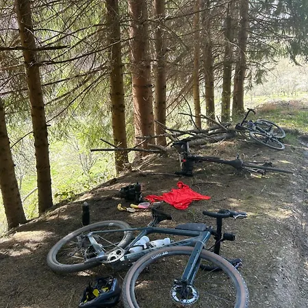 Affittacamere Golijski Dar Dajici