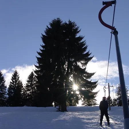 Golijski Dar Affittacamere 3*