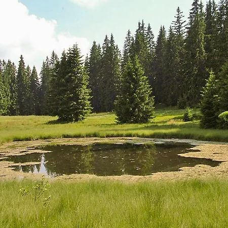 Affittacamere Golijski Dar 3*